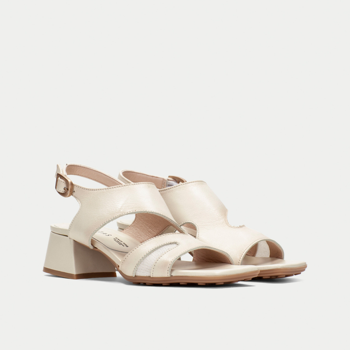 Hispanitas Dallas latte