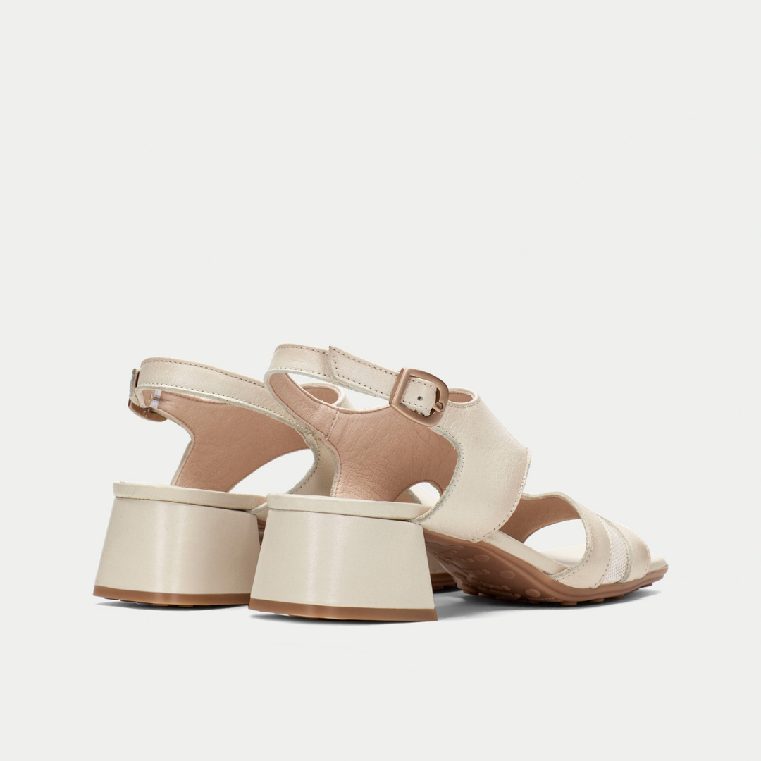 Hispanitas Dallas latte