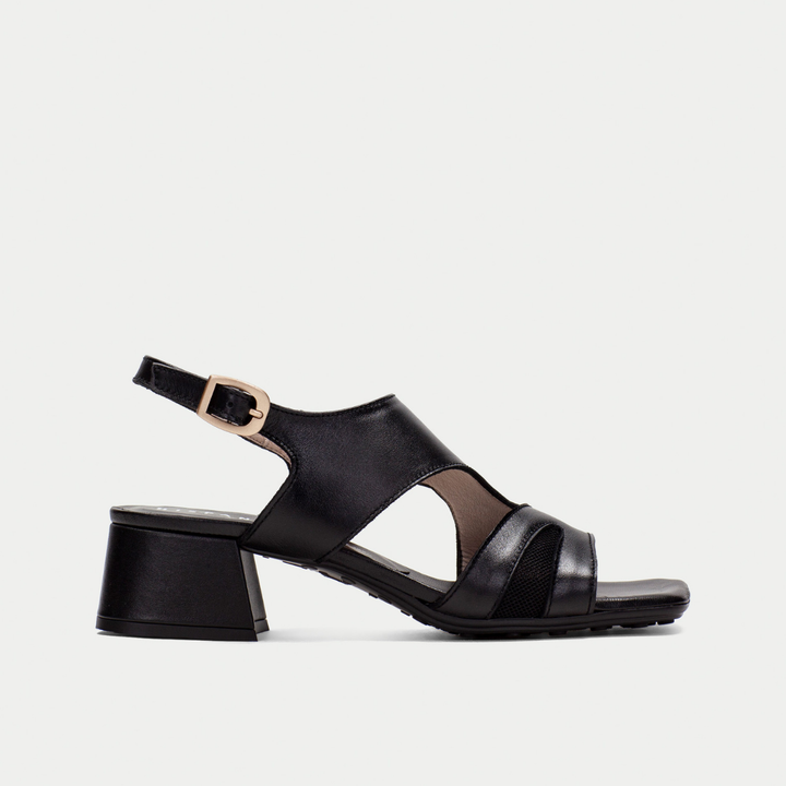 Hispanitas Dallas black