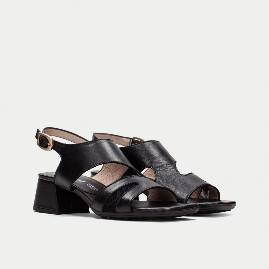 Hispanitas Dallas black