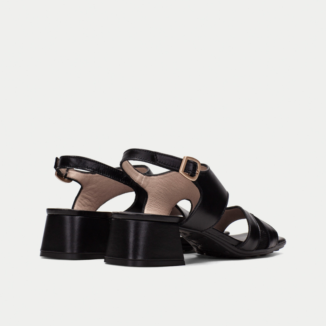 Hispanitas Dallas black