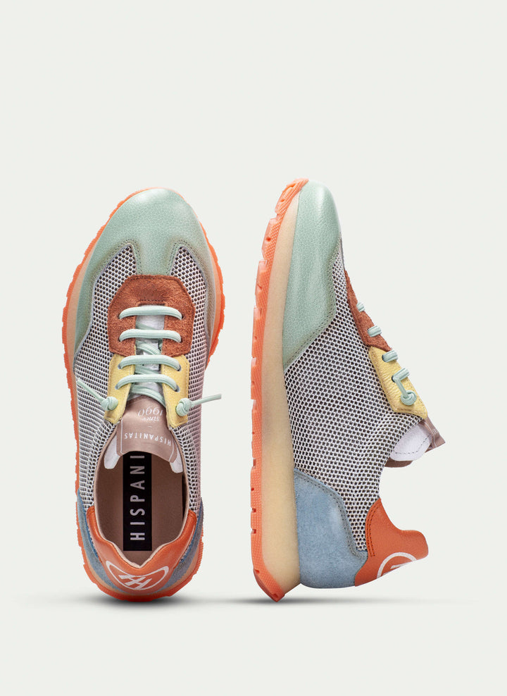 Hispanitas Kansas eucalypt multi