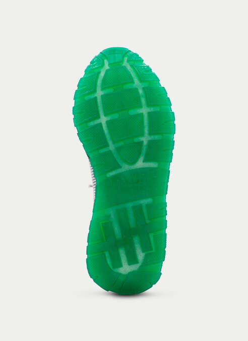 Hispanitas Kansas grass multi