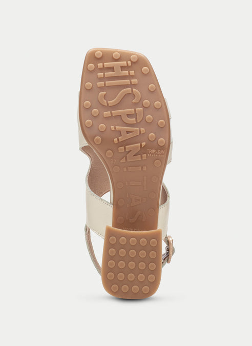 Hispanitas Dallas latte