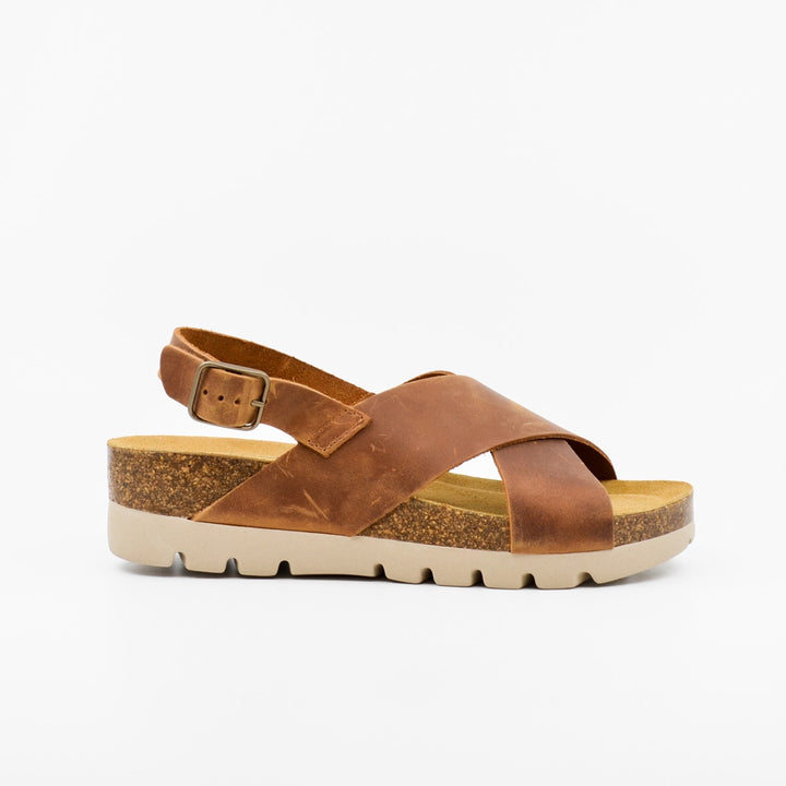 Plakton 356134 roble