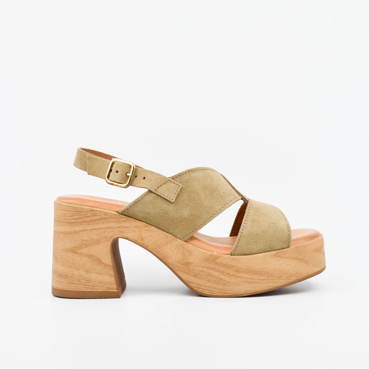 Wikers Tobi mushroom