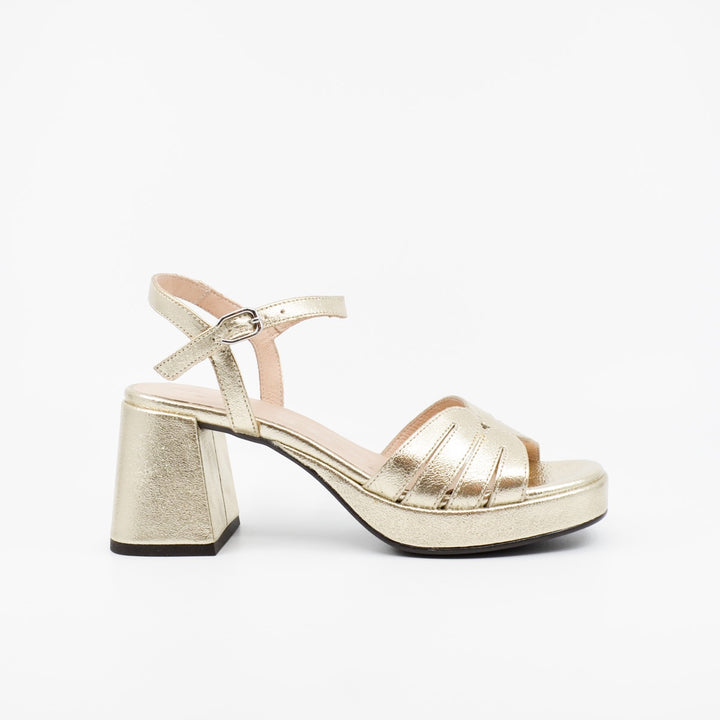 Wonders G-6810 platino