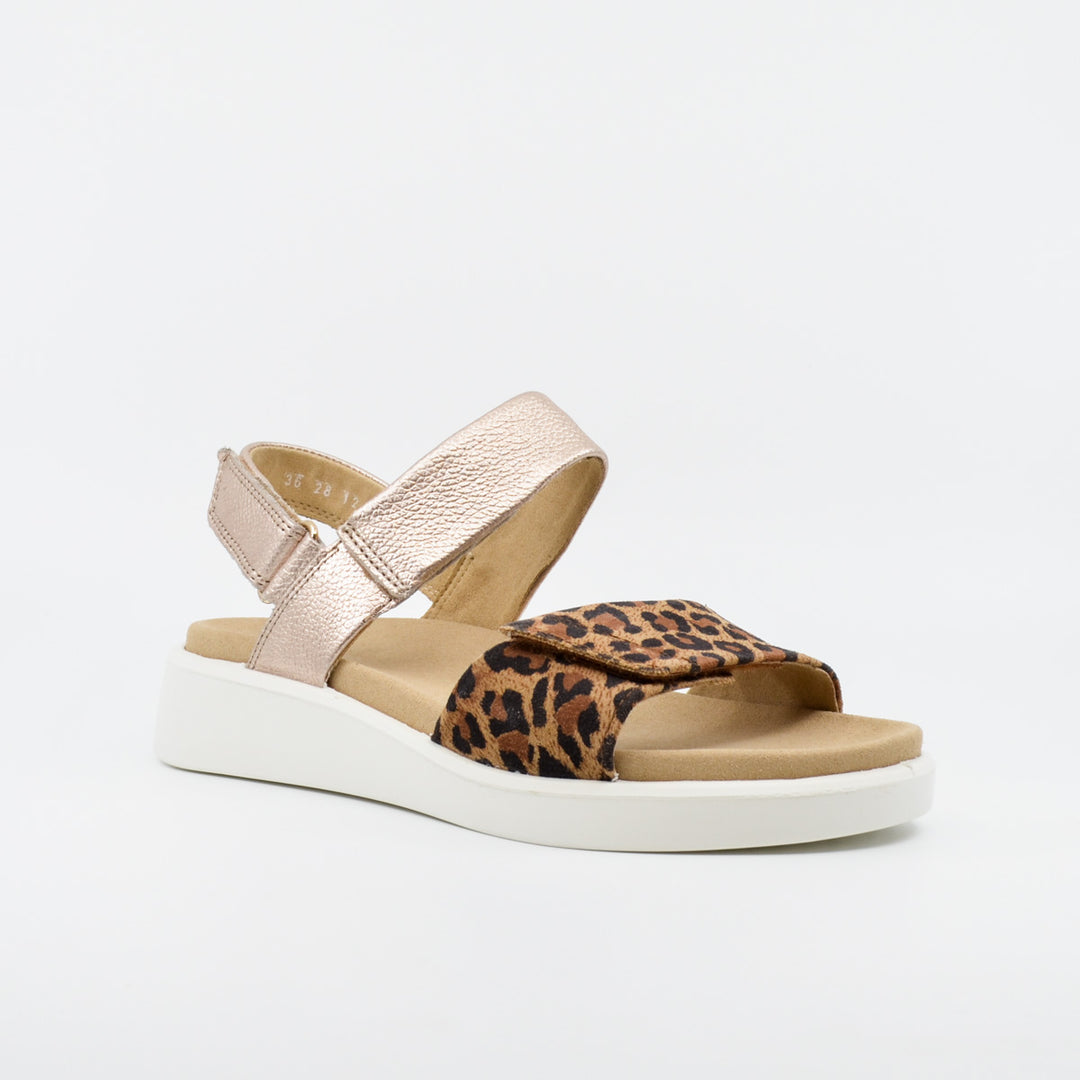 Ara 21401 leopard & platino