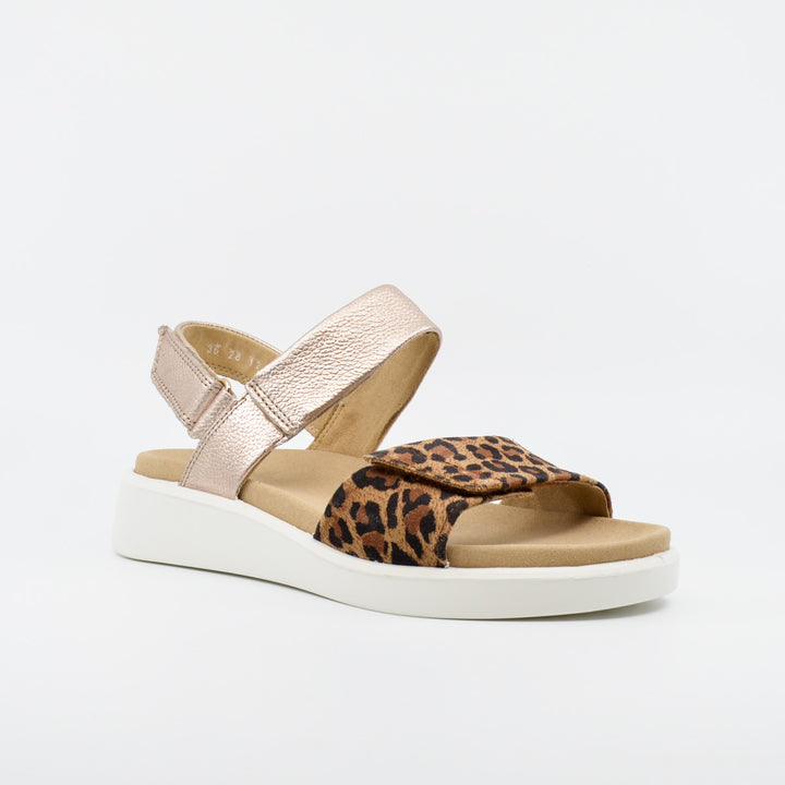 Ara 21401 leopard & platino