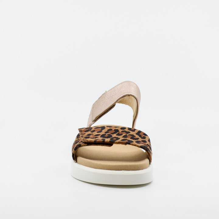 Ara 21401 leopard & platino