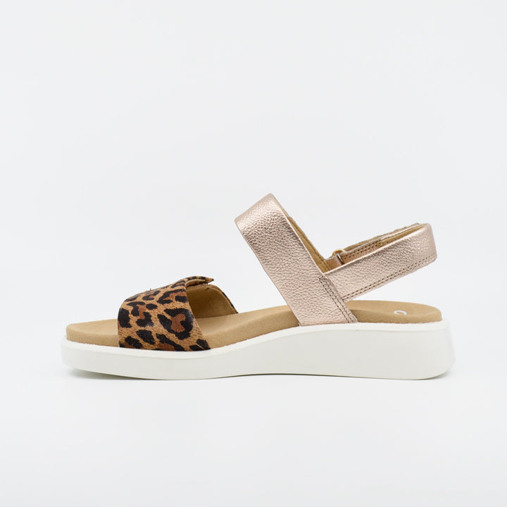 Ara 21401 leopard & platino