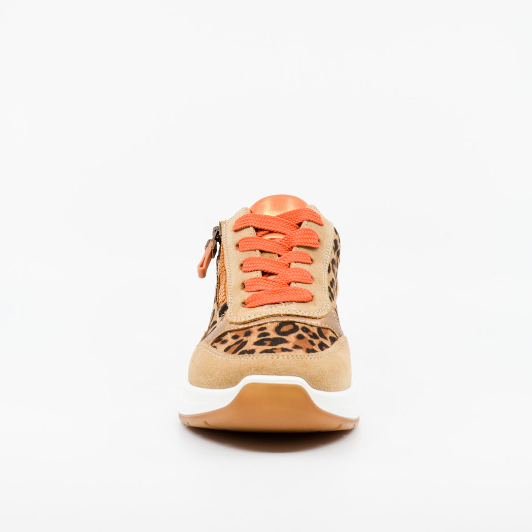 Ara 57702 leopard