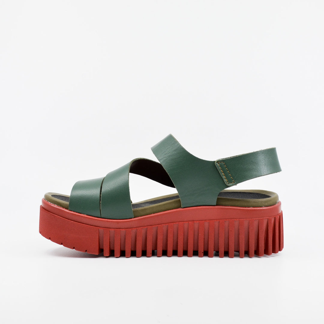 Art Brighton 1573 foliage