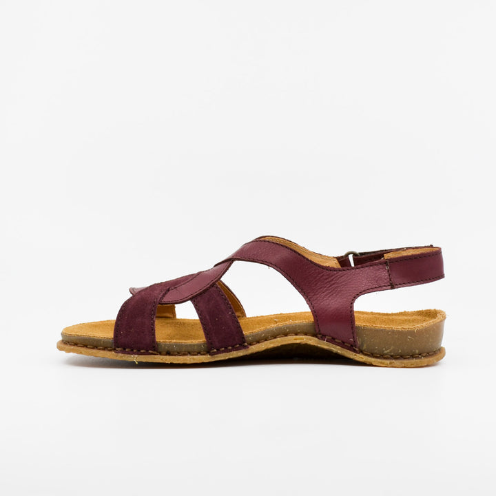 El Naturalista Panglao burdeos