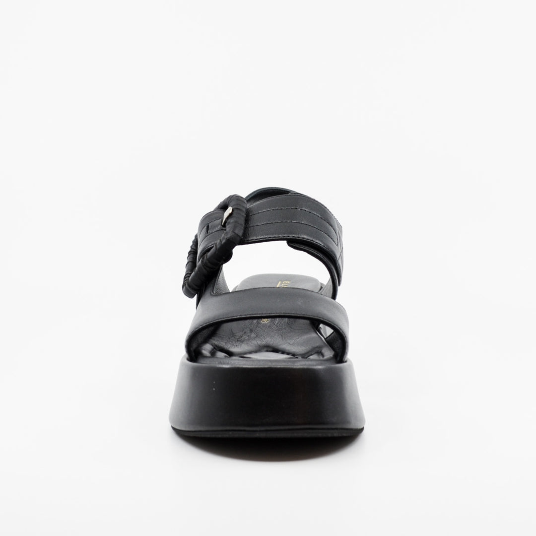 Elvio Zanon EB1206X black