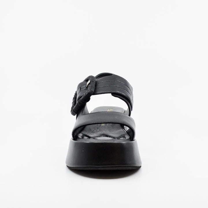 Elvio Zanon EB1206X black