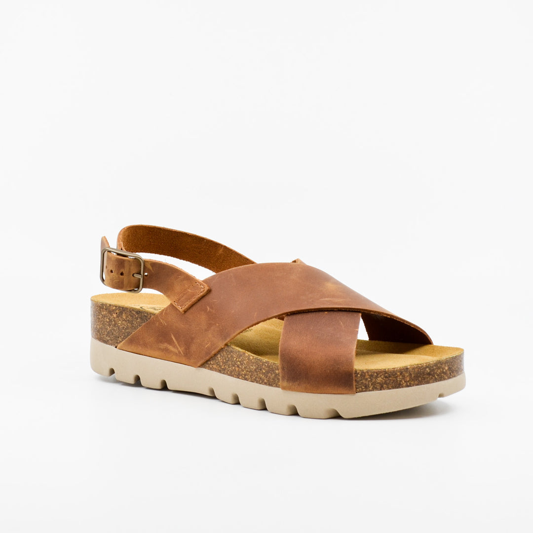 Plakton 356134 roble