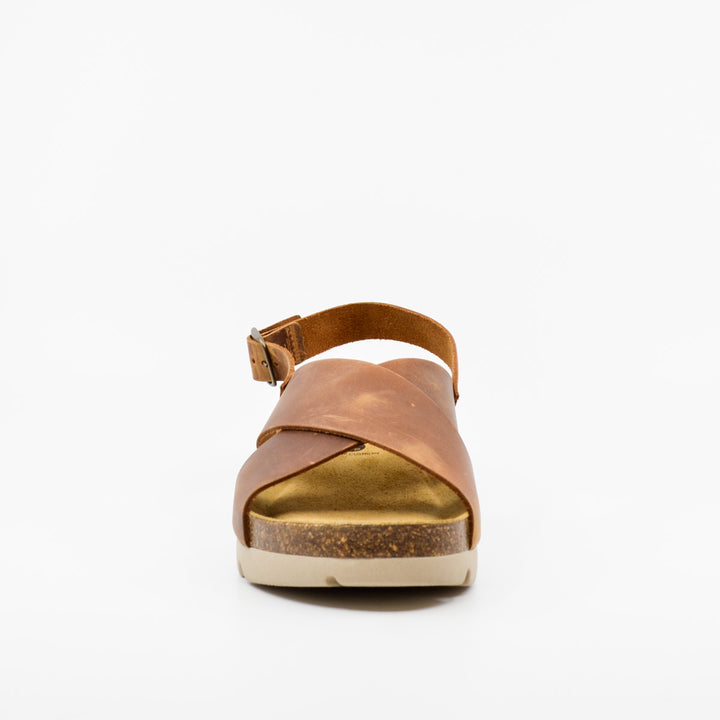 Plakton 356134 roble