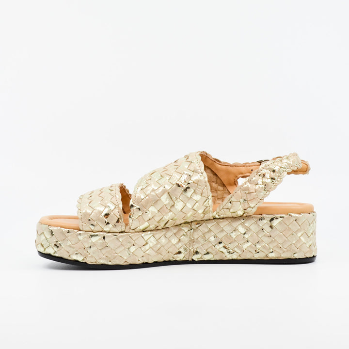 Pons Quintana Forli ivory