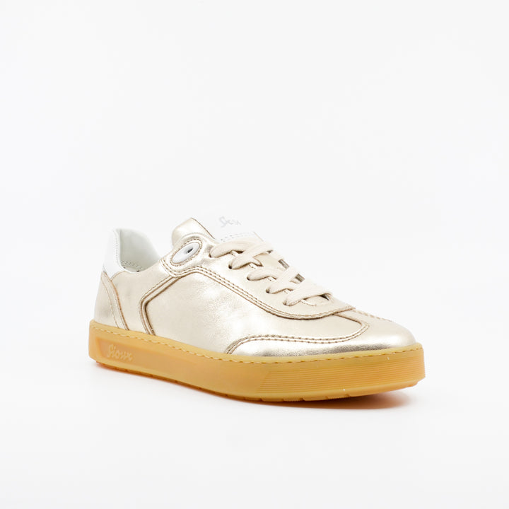 Sioux Tedroso platino