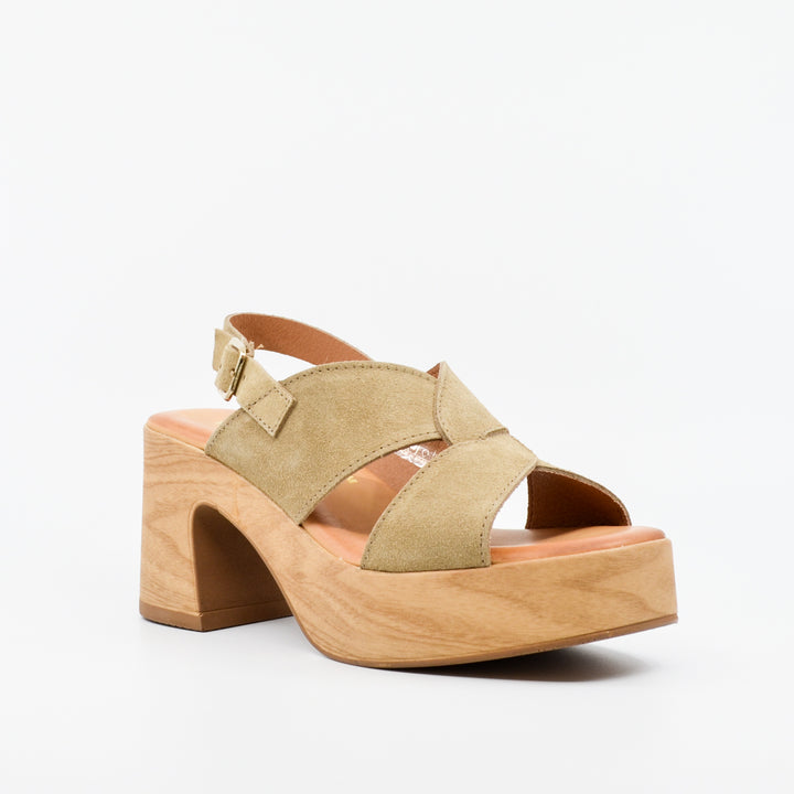 Wikers Tobi mushroom