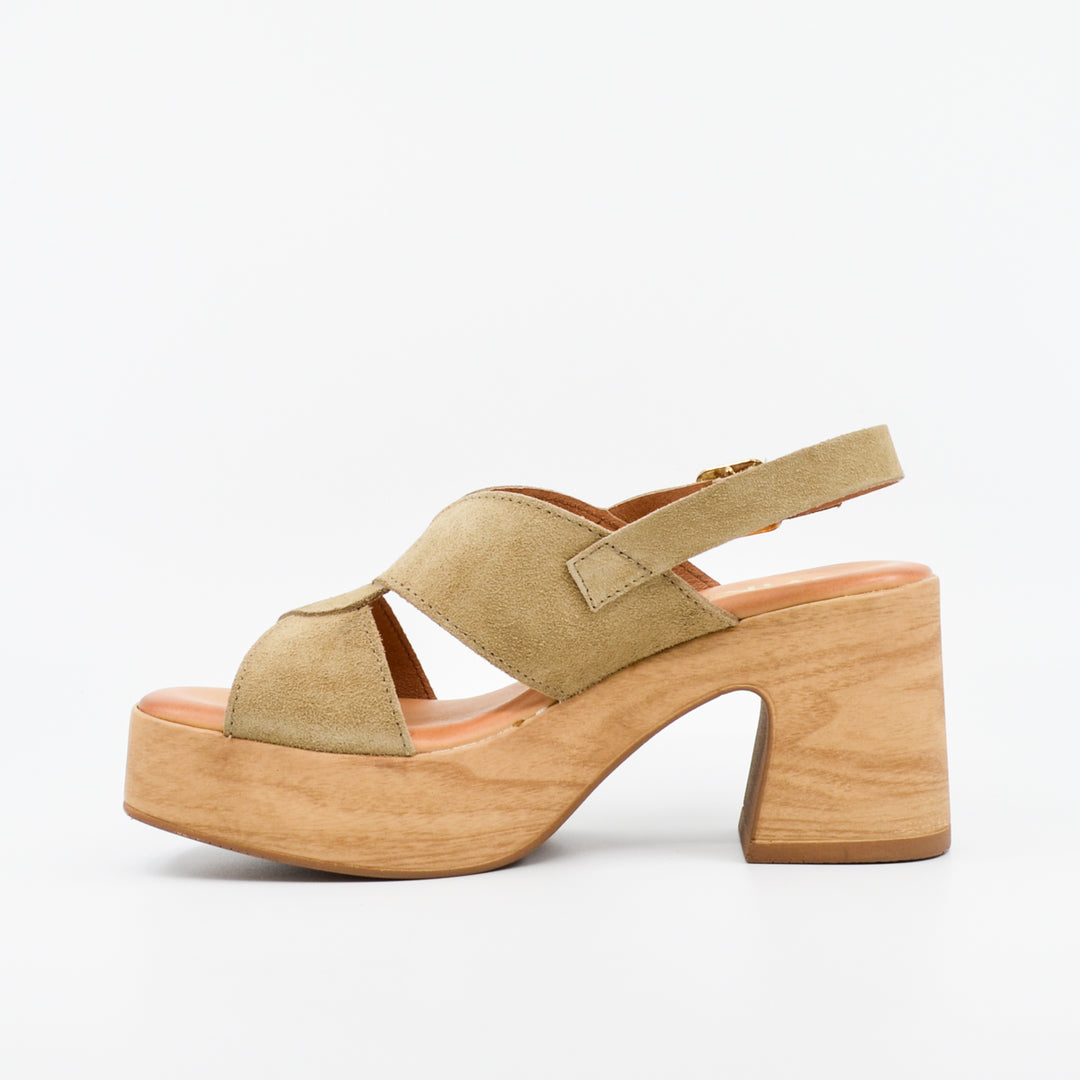 Wikers Tobi mushroom