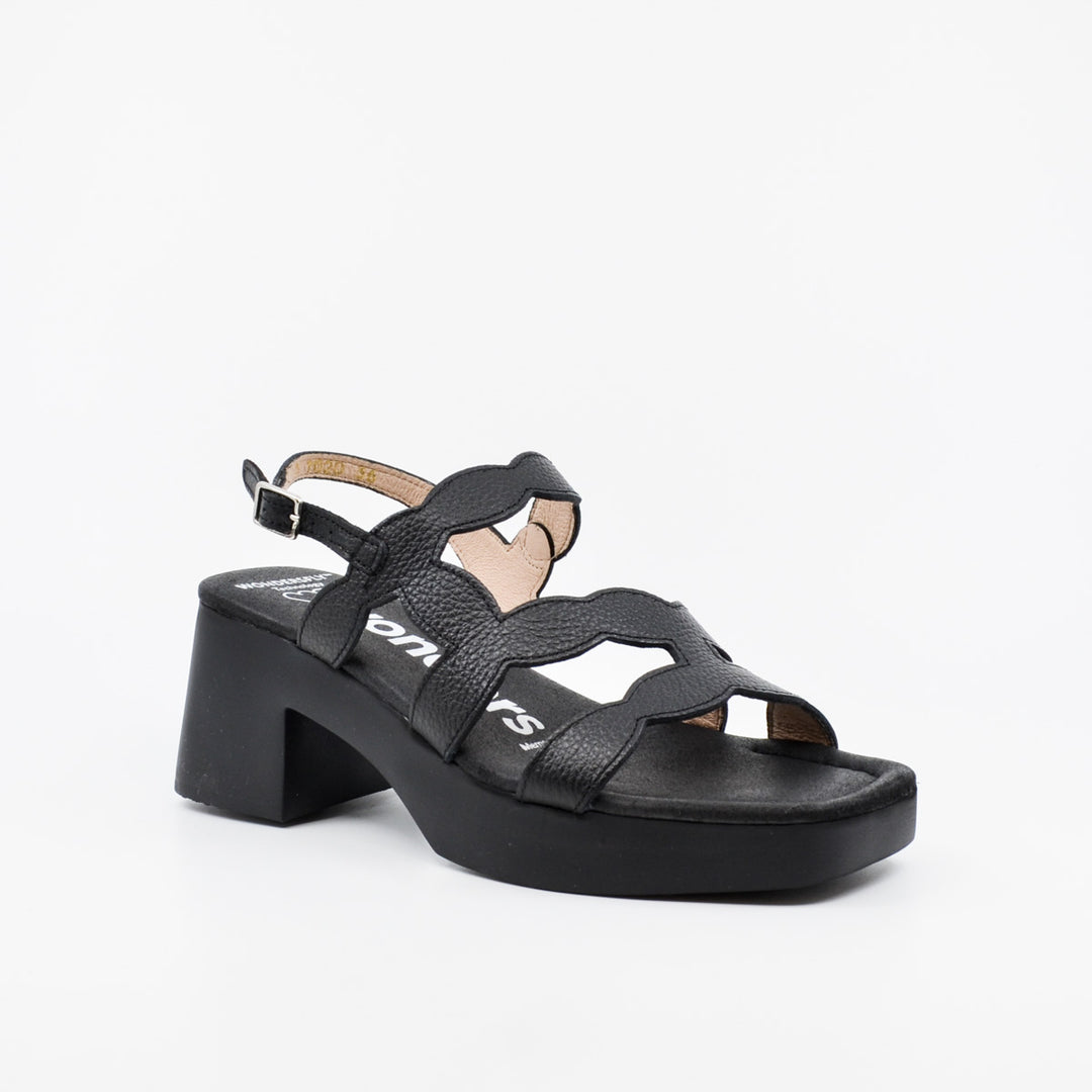 Wonders D-1020 black