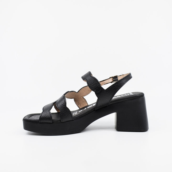 Wonders D-1020 black