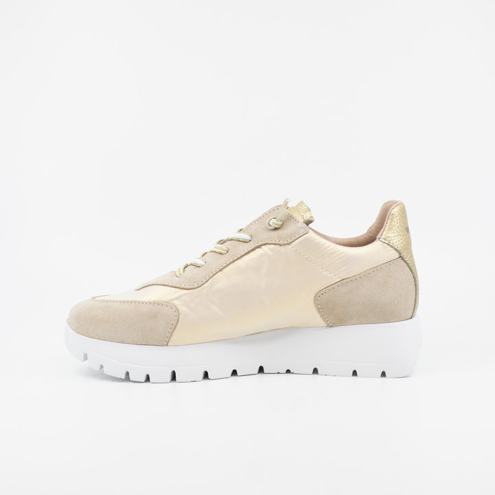 Wonders A-2464 beige & rose