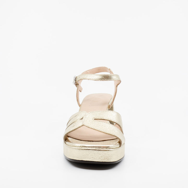 Wonders G-6810 platino