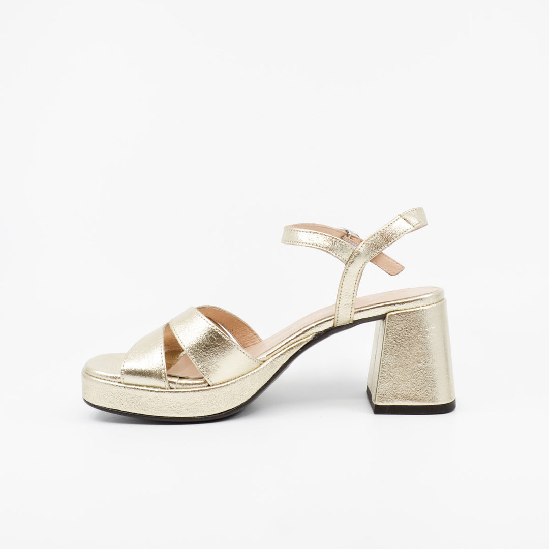 Wonders G-6810 platino