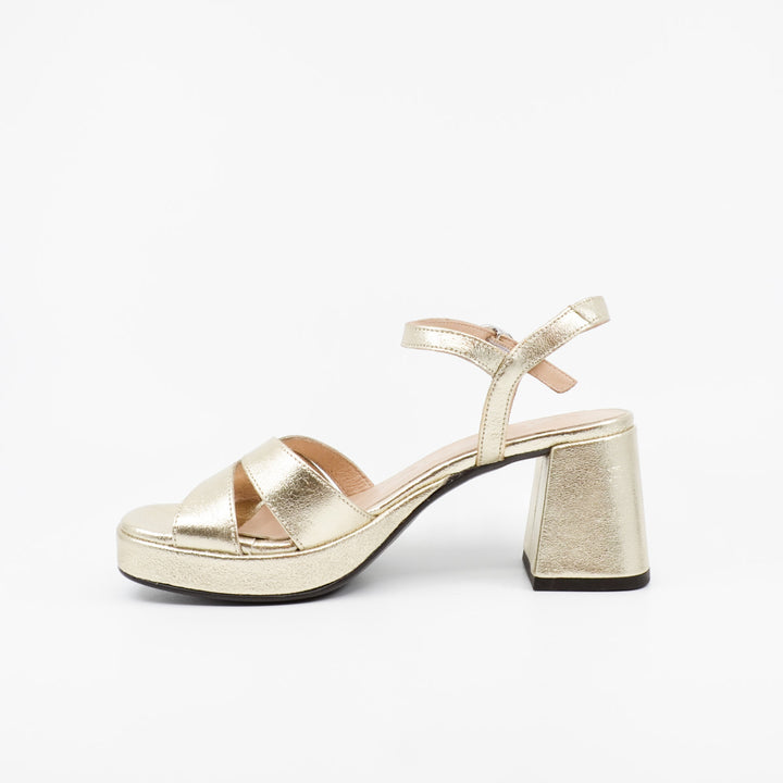 Wonders G-6810 platino