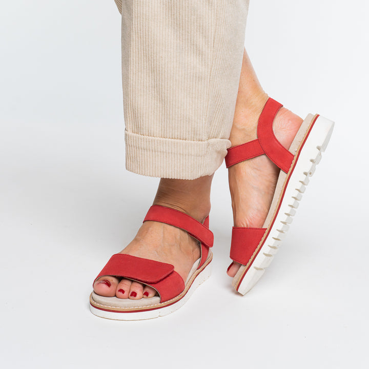 Ara Kent 28114 strawberry