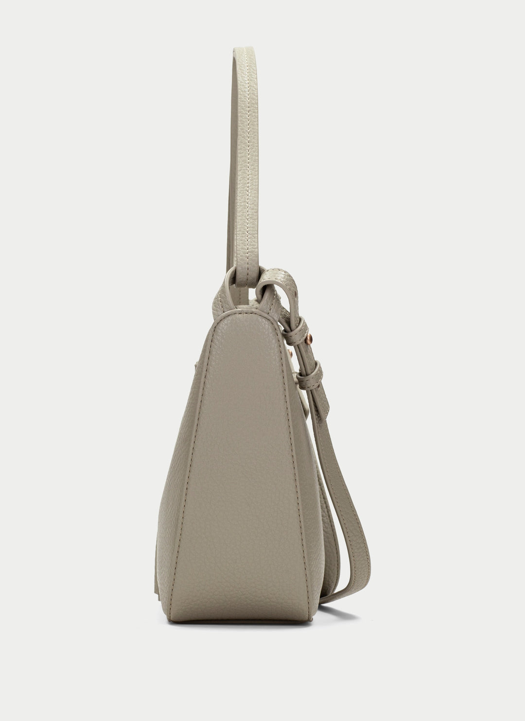 Hispanitas Shoulder alga