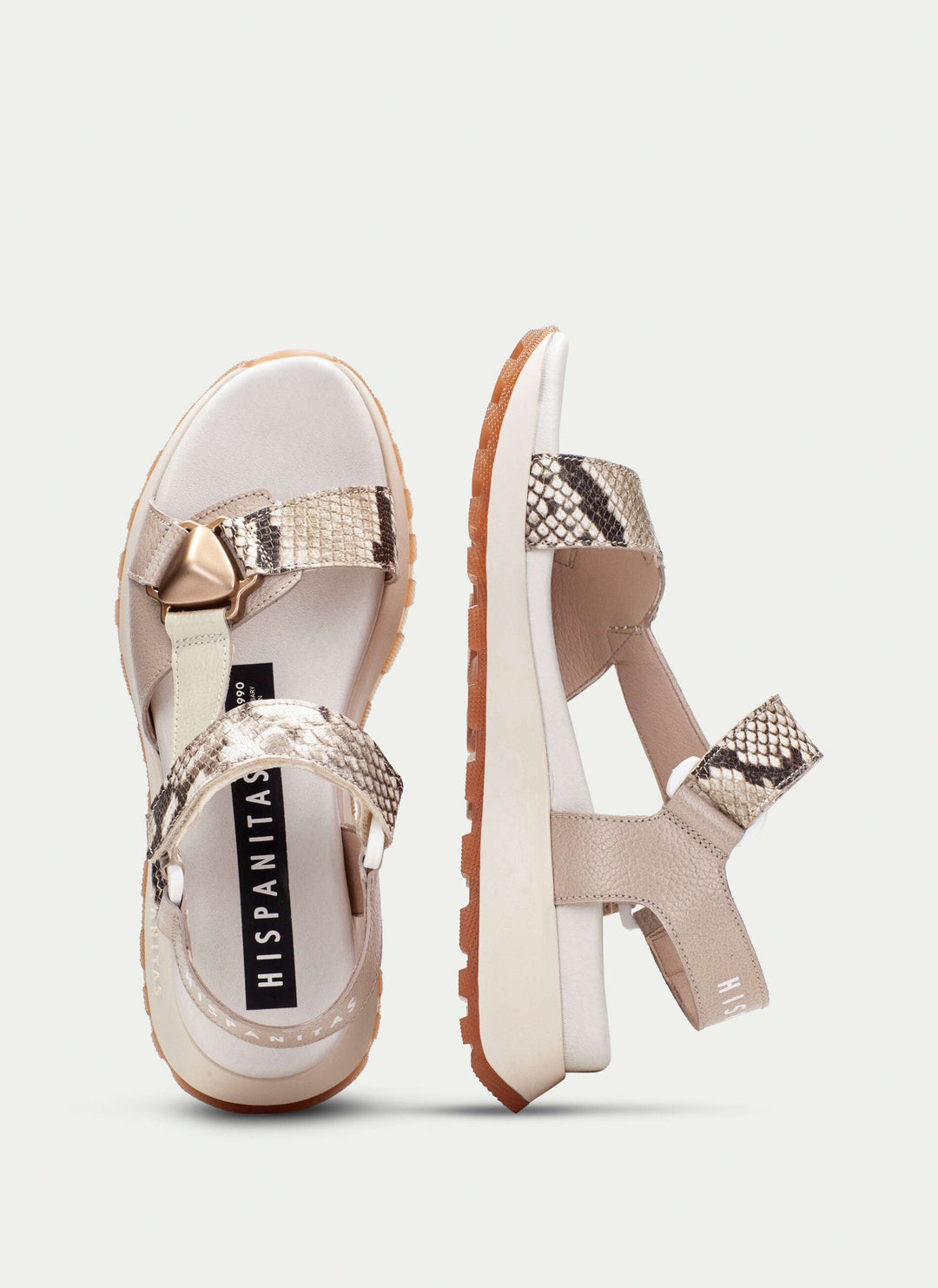 Hispanitas Maui snake taupe