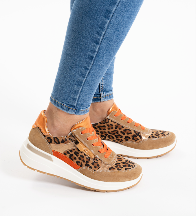 Ara Garda 57702 leopard