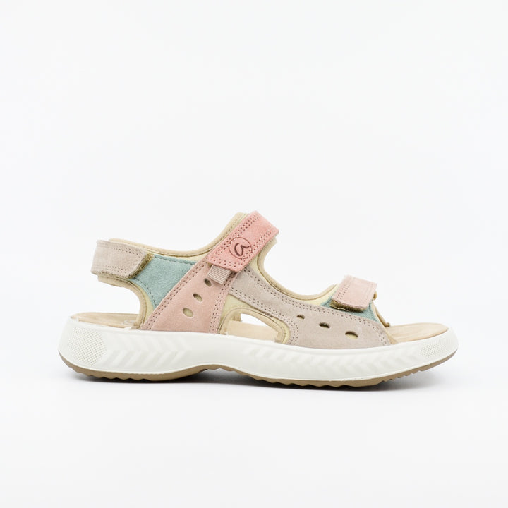 Ara 13507 pastel