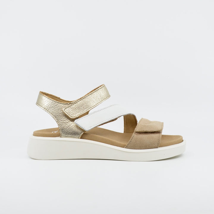 Ara 21407 beige multi