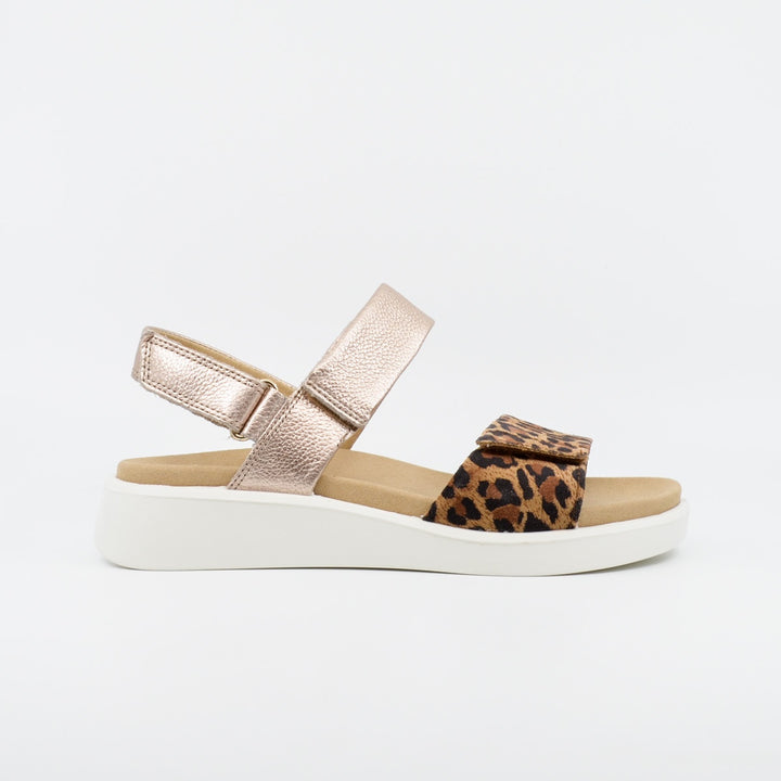 Ara 21401 leopard & platino