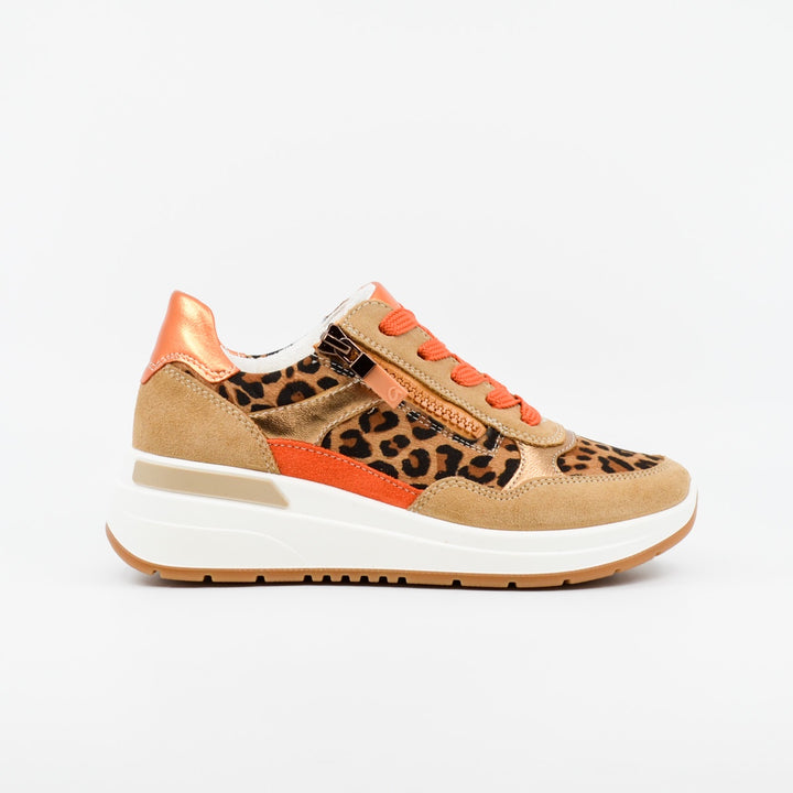 Ara 57702 leopard
