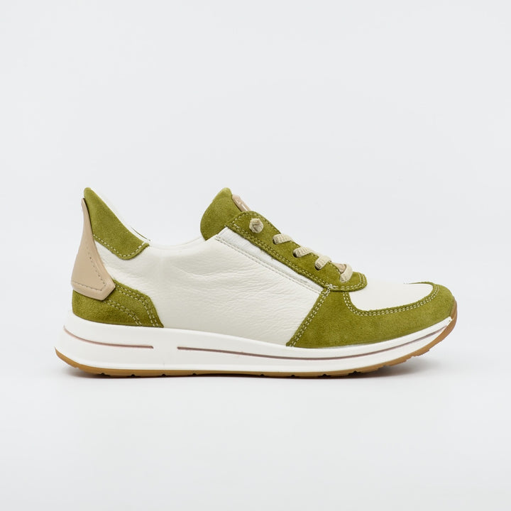 Ara 24836 olive & white