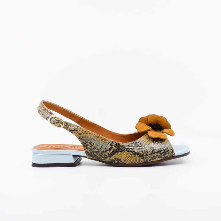 Chie Mihara Tayda snake