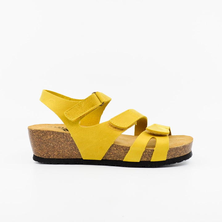 Plakton 826136 mustard