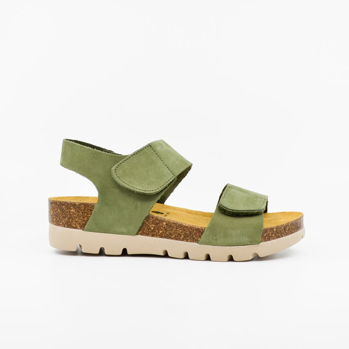 Plakton 355887 olive