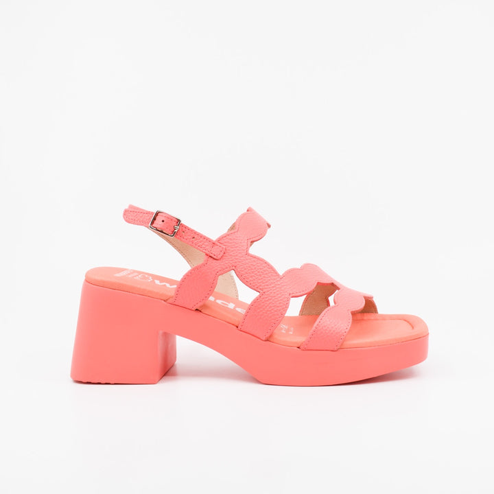 Wonders D-1020 coral
