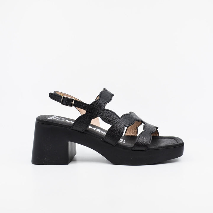 Wonders D-1020 black