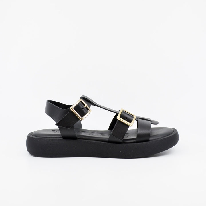 Wonders AB-1012 black