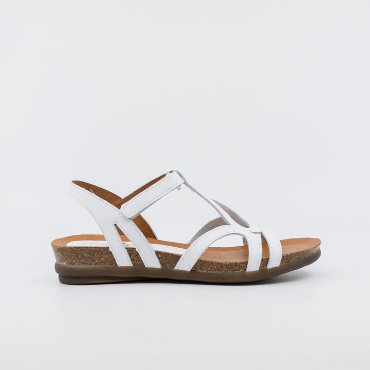 Zeta Rapt white