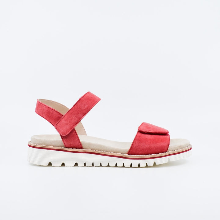 Ara Kent 28114 strawberry