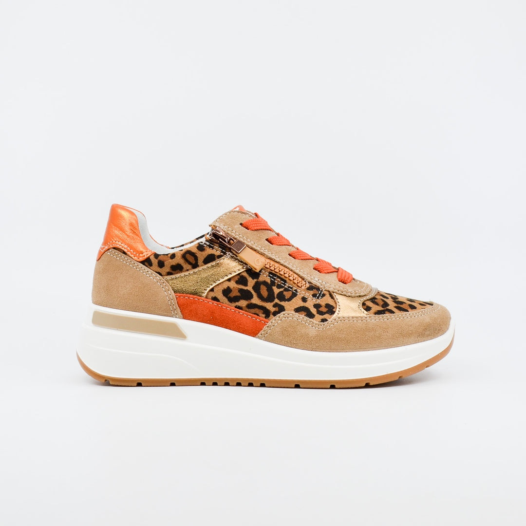 Ara Garda 57702 leopard